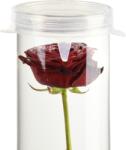 Esschert Design Tető henger alakú üveg vázához, vízbe merülő virágoknak (AGG91)