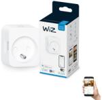 WiZ Priză inteligentă E 2300W Wi-Fi WiZ (WI0053)
