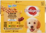 PEDIGREE Junior Mix 12x100 g