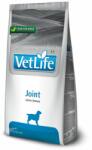 Vet Life Joint 12 kg