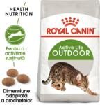 Royal Canin Outdoor 30 hrana uscata pentru pisicile adulte care ies afara 20 kg (2 x 10 kg)