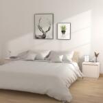 vidaXL Noptiere, alb, 2 buc. , 40x30x40 cm, lemn masiv de pin (813308)