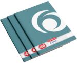Herlitz Caiet A4, 48 file, matematica, Rainbow, 10 buc/set Herlitz PCKHZ9480840 (PCK9480840)