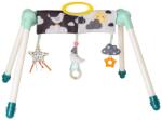 Taf Toys Gimnastica activa cu picioare rabatabile Taf Toys - Mini Moon (TT12525)