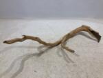 INVITAL Red moor wood KG 785g (ID 3522)