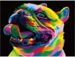  Szivárvány bulldog számfestő készlet