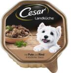Cesar Turkey, Beef and Herbs, dog food tray 150 g