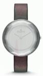 Skagen SKW2274 Ceas