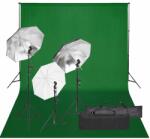 vidaXL Kit studio foto cu set de lumină și fundal (3094706)