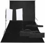 vidaXL Kit studio foto cu set de lumină și fundal (3094750)