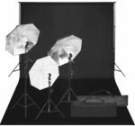 vidaXL Kit studio foto cu set de lumină și fundal (3094708)