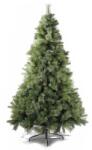 Decorer Brad artificial verde cu sclipici auriu si conuri Colorado Ø 130 cm x 210 h (A54.39.62)
