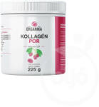Organika Kollagén italpor 225 g