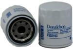 DONALDSON filtru combustibil DONALDSON P502163 (P502163) - automobilus