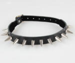 Black & Metal vârfuri de guler 1 - BWZ-485