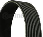 Continental Ctam Curea transmisie cu caneluri CONTINENTAL CTAM 10PK1494 (10PK1494) - automobilus