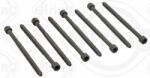 ELRING Set surub, chiulasa ELRING 325.040 (325.040) - automobilus