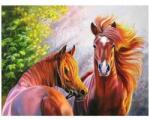 Toi-Toys Set creativ cu diamante rotunde Diamond Painting 40x50 cm Toi-Toys TT46684Z (TT46684Z_Cai)