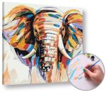  Paint by Numbers - Elefánt, közepes nehézségi szint