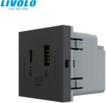 LIVOLO Modul priza dubla USB + USB tip C Livolo (VL-FCUA18W.UC18W-2BP)