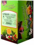 Gyógyfű Ginkgo-Narancs-Zöld filteres tea