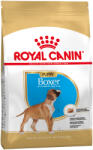 Royal Canin Boxer Puppy 2x12 kg