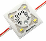 24LED Modul LED Arlight chip 12V , 1.44W , 170 , 230lm , 10000K , IP68